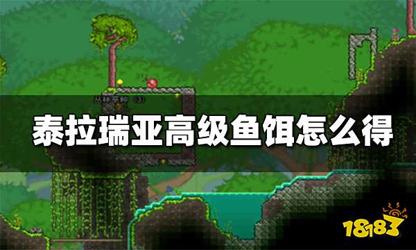 泰拉瑞亚如何获取高级鱼饵 泰拉瑞亚高级鱼饵怎么得