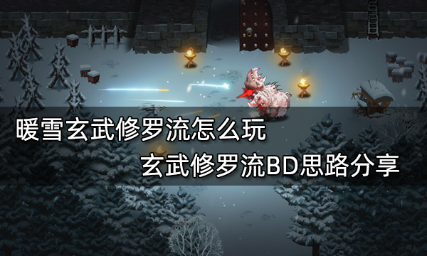 暖雪玄武修罗流怎么玩 玄武修罗流BD思路分享