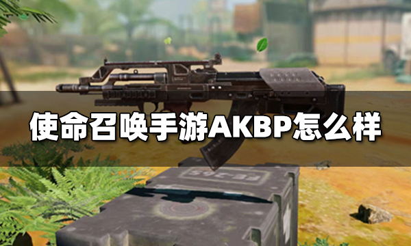 使命召唤手游AKBP怎么样 突击步枪AKBP枪械评测