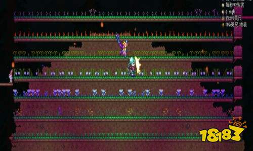 泰拉瑞亚药园如何建造 泰拉瑞亚药园怎么做