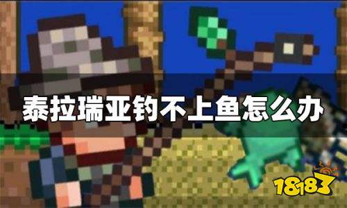 泰拉瑞亚钓不上鱼怎么办 泰拉瑞亚为什么钓不上来鱼