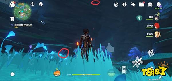 原神鲸井小弟手鞠在哪