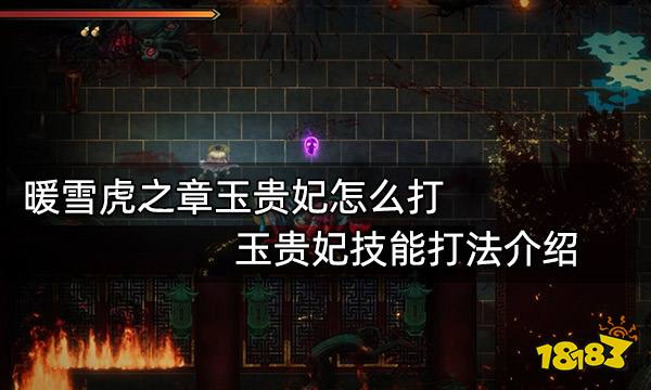 暖雪虎之章玉贵妃怎么打 玉贵妃技能打法介绍