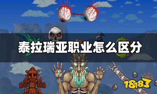 泰拉瑞亚职业是什么 泰拉瑞亚职业怎么区分