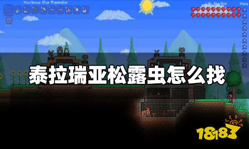 泰拉瑞亚松露虫在哪找 泰拉瑞亚松露虫哪里多