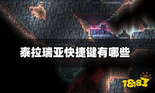 泰拉瑞亚快捷键怎么设置 泰拉瑞亚快捷键有哪些