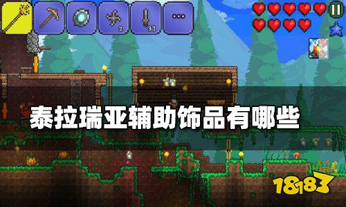 泰拉瑞亚辅助类饰品有哪些 泰拉瑞亚辅助类饰品大全