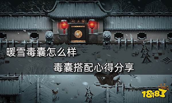 暖雪毒囊怎么样 毒囊搭配心得分享