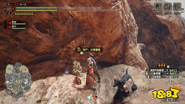 怪物猎人崛起沙漠蔷薇在哪里 沙漠蔷薇采集点