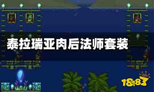 泰拉瑞亚肉后法师套装推荐 泰拉瑞亚肉后法师首选套装