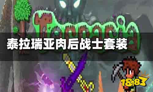 泰拉瑞亚肉后战士套装推荐 泰拉瑞亚肉后战士套装哪个好