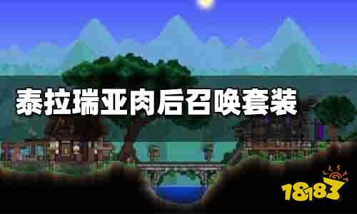 泰拉瑞亚肉后召唤套推荐 泰拉瑞亚肉后召唤套搭配
