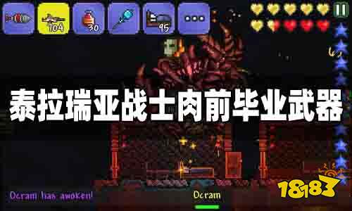 泰拉瑞亚战士肉前毕业武器推荐 泰拉瑞亚战士肉前毕业武器搭配