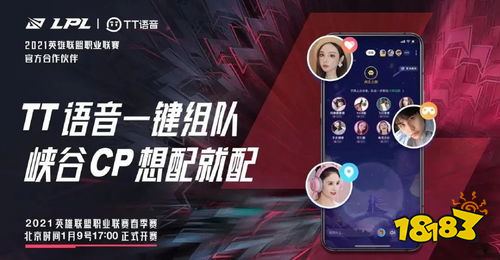 手机TT语音下载