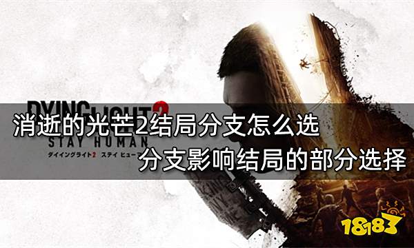消逝的光芒2结局分支怎么选 分支影响结局的部分选择