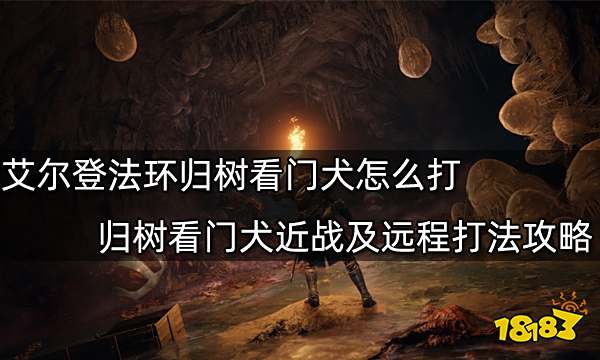 艾尔登法环归树看门犬怎么打 归树看门犬近战及远程打法攻略