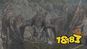 艾尔登法环飞龙亚基尔怎么打 飞龙亚基尔近战及远程打法攻略