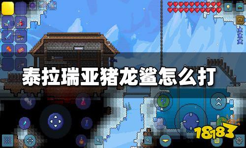 泰拉瑞亚猪龙鲨怎么打 猪龙鲨攻略