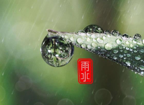 <b>二十四节气雨水的含义是什么 雨水节气的来历故事</b>