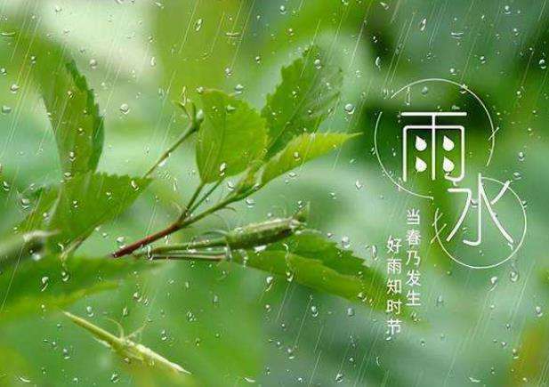 2022年雨水节气是几月几日 农历几月几号是雨水