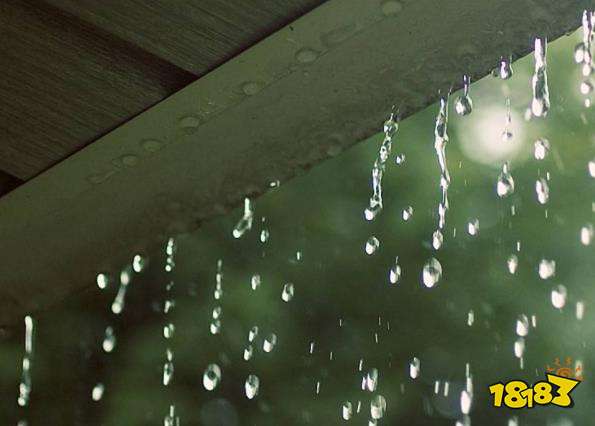 水獭祭鱼是什么 为什么雨水时会发生水獭祭鱼现象