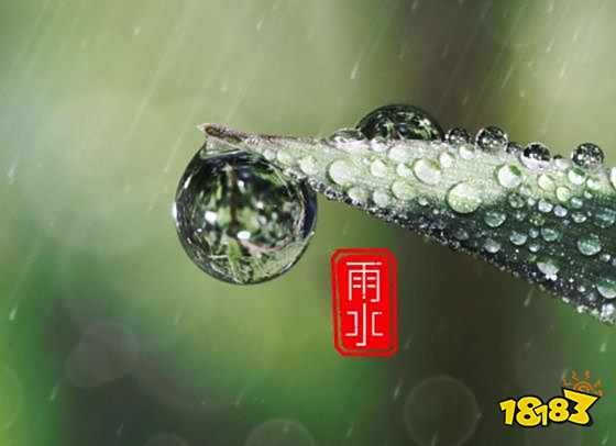 雨水谚语有哪些 来看2022年雨水节气预言谚语准不准
