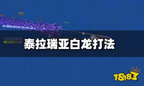 泰拉瑞亚白龙掉落 白龙怎么刷