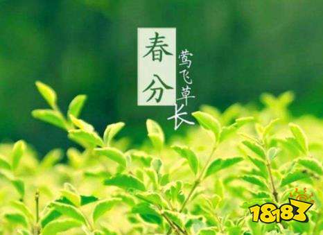 春分下雨好不好 春分时节下雨预示着什么