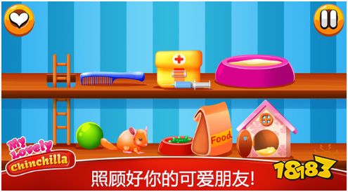 2022我的龙猫下载