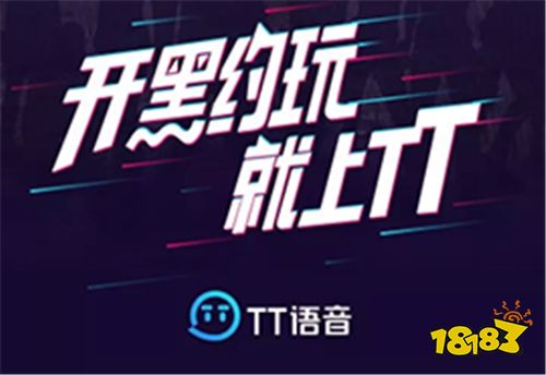 TT语音游戏助手