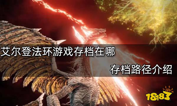 艾尔登法环游戏存档在哪 存档路径介绍
