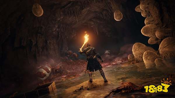 艾尔登法环BOSS在哪 全BOSS位置一览