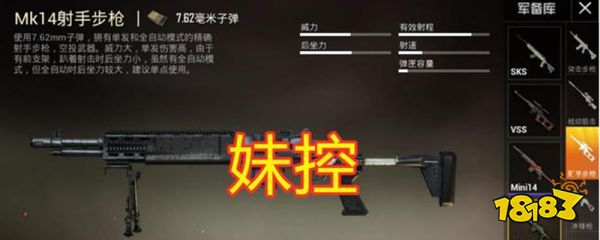 和平精英妹控是什么枪