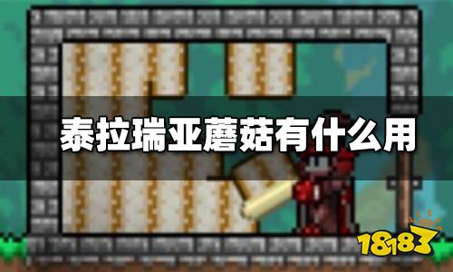 泰拉瑞亚蘑菇有什么用 蘑菇用途