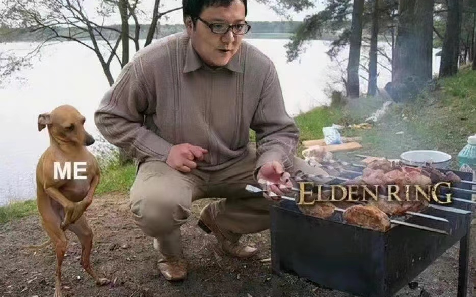 “老头环有什么好玩的？”