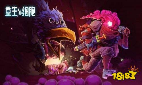 重生細(xì)胞藤蔓符文在哪獲得 藤蔓符文作用分享