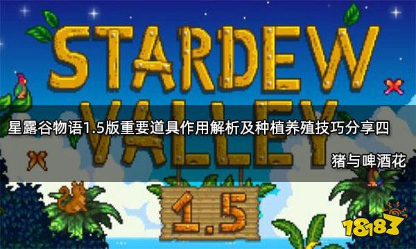 星露谷物语1.5版重要道具作用解析及种植养殖技巧分享四 猪与啤酒花