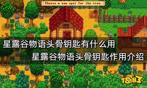 星露谷物语头骨钥匙有什么用 星露谷物语头骨钥匙作用介绍