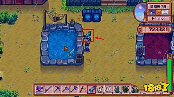 星露谷物语鲟鱼在哪里钓 星露谷物语鲟鱼如何钓到