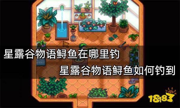 星露谷物语鲟鱼在哪里钓 星露谷物语鲟鱼如何钓到