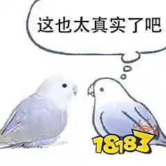 我觉得，很多中小团队会死在今年