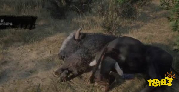  荒野大镖客2野牛在哪 野牛位置一览