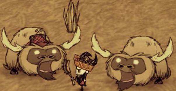 饥荒怎么驯牛 驯牛方法介绍