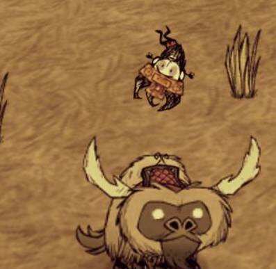 饥荒怎么驯牛 驯牛方法介绍