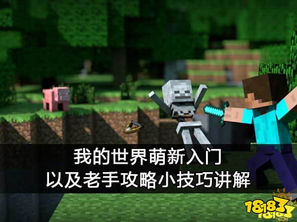 我的世界萌新入门以及老手攻略小技巧讲解