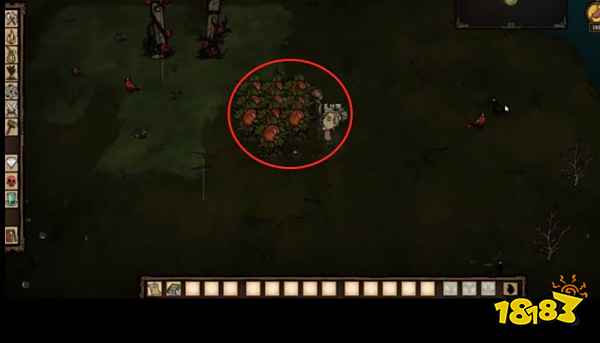 饥荒果蝇王出现条件是什么 果蝇王召唤方法介绍