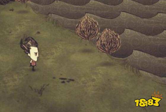 饥荒紫宝石如何获得 紫宝石获取方法介绍