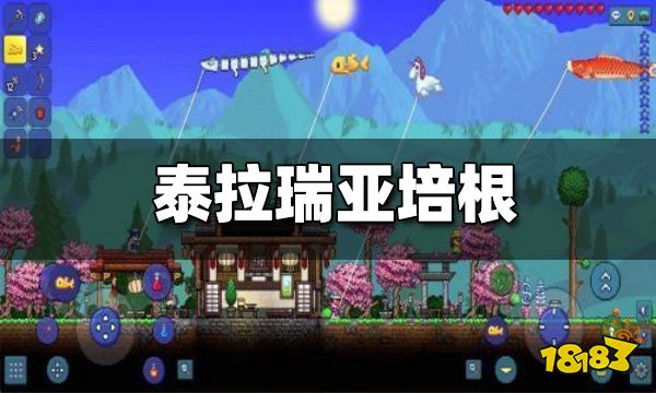 泰拉瑞亚培根有什么用 培根获取方式