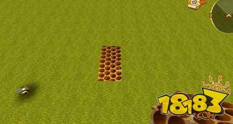 迷你世界蜜蜂抓捕陷阱攻略 引诱蜜蜂讲解