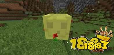 我的世界死亡次数最多的怪物 小知识分享